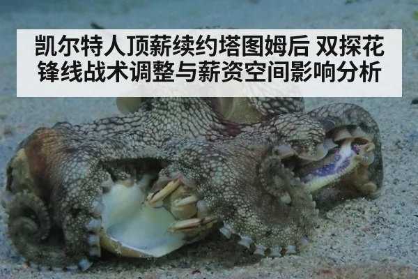 凯尔特人顶薪续约塔图姆后 双探花锋线战术调整与薪资空间影响分析
